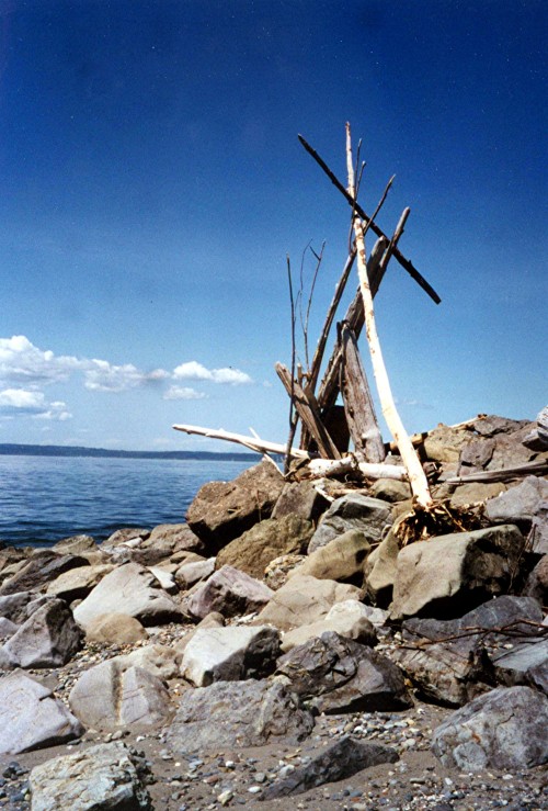 Driftwood Sculpture, Puget Sound Shoreline at Discovery Park, Seattle, 1998.