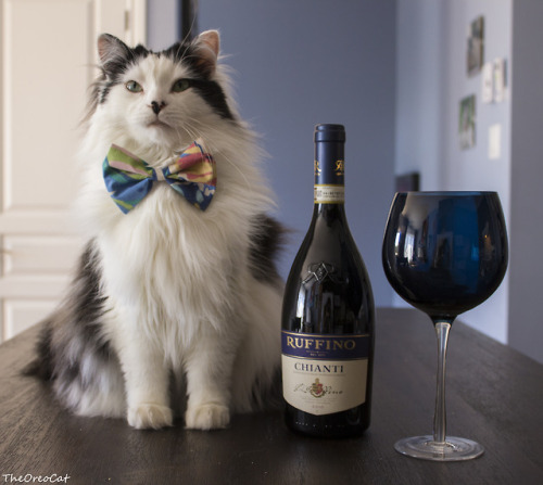theoreocat:Wishing all the awesome dads a Happy Father’s Day!