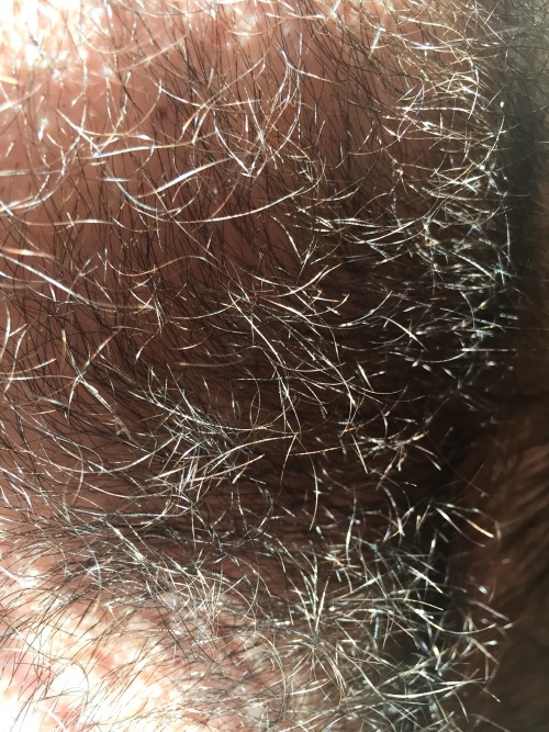 hunghairybear:  bjornmannen:  I’ve always loved how the sun accents fur. 🐻  Good lord, this is bear perfection 