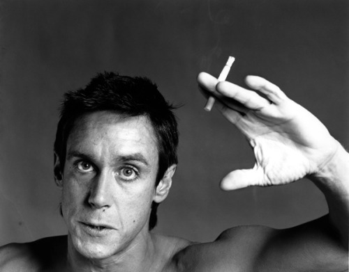 pattismithandrobertmapplethorpe:  Iggy Pop, 1981  ©  Robert Mapplethorpe Foundation   