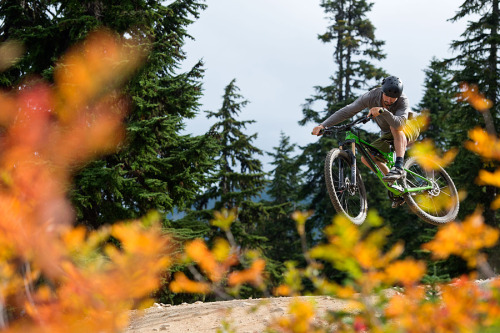 Fall color is going off right now in the PNW!  Love this time of year. This photo was taken up at th