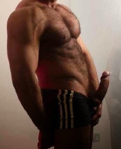 biricchinove67:  Over 12.200 followers!!    My blogs:  http://biricchinove67.tumblr.com/archive 