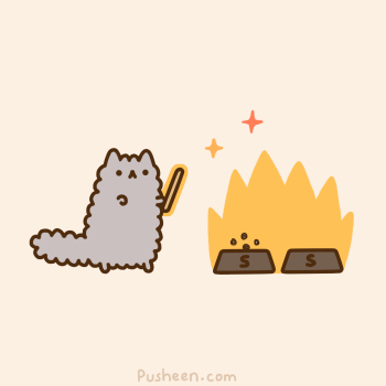 laughingsquid:  Cat Wizards