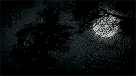 scottpilgvrim:Moon Witches     “The sun watches what I do, but the moon knows all my secrets.”