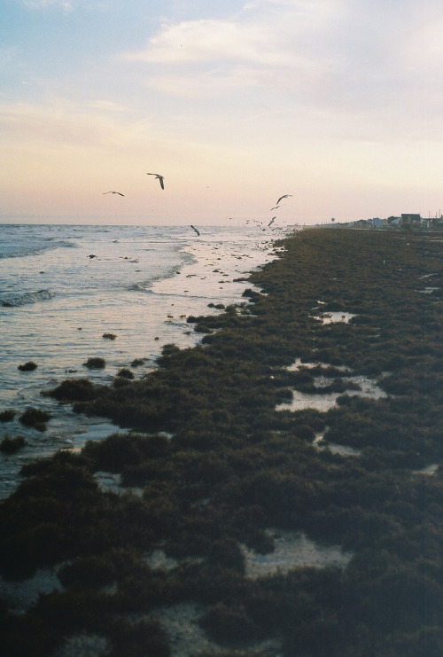 metrodorus:  Keelan Tollefson 