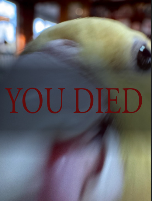 She