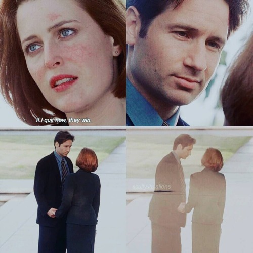 Fight the future • • • • #TheXfiles #GillianAnderson #DavidDuchovny #СекретныеМа