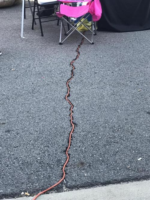 diary-of-a-chinese-kid:The extension cord fits perfectly through the crack