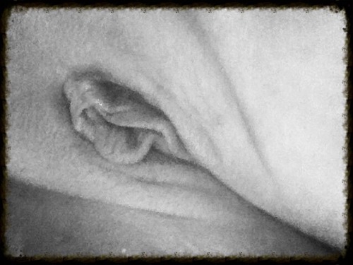 theunknowingwife:  Just pussy…would you eat it? Reblog her pussy…tribute her pussy…