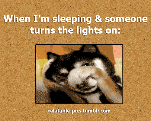 The Absolute Funniest Posts On Tumblr