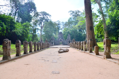 Preah Khan - The Temple of the “Royal Sword” - Angkor, Cambodia