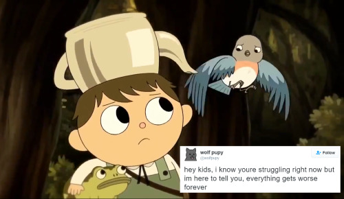 tv: otgw