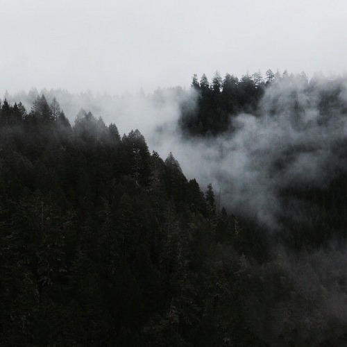 havokk:bravekenobi asked ↣ legolas or aragornshall I describe it to you? or would you like me to fin