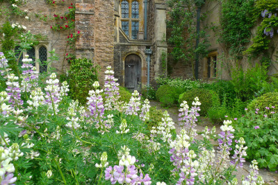 pagewoman:Cothay Manor, Somerset, England  