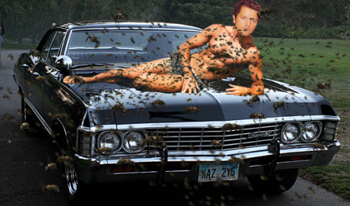 "Dude, On My Car, He Showed Up Naked...covered In Bees.