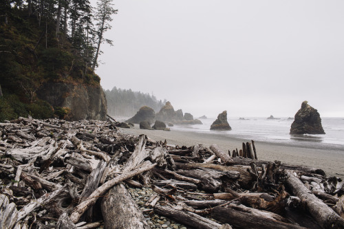 Sex jaredatkinsphoto:  Ruby Beach,  Olympic pictures