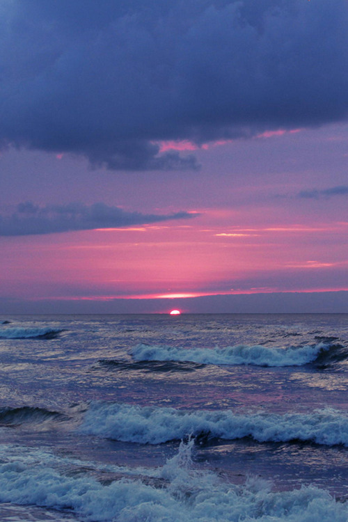 plasmatics-life:  In Harmony ~ By PawPar 