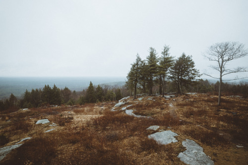 thezacheat:Mt. Agamenticus earlier this month.