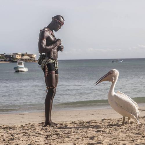 immigrantslenz:  Senegal’s Pride by   Ndumiso Omowale Sibanda   Wrestling is a big sport in Senegal. The well built men get involved in this sport for reasons including bragging rights and also continuing a family tradition. they are aided by all kinds