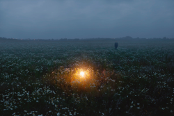 danger:  “Backyard” (2014) -   Marcus Møller BitschI returned to the fields near my house last night, for the first time in year. It was strange, yet beautiful, to walk through the fields in the same tracks, as the ones I walked in a year ago. The