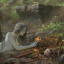 aelora-a