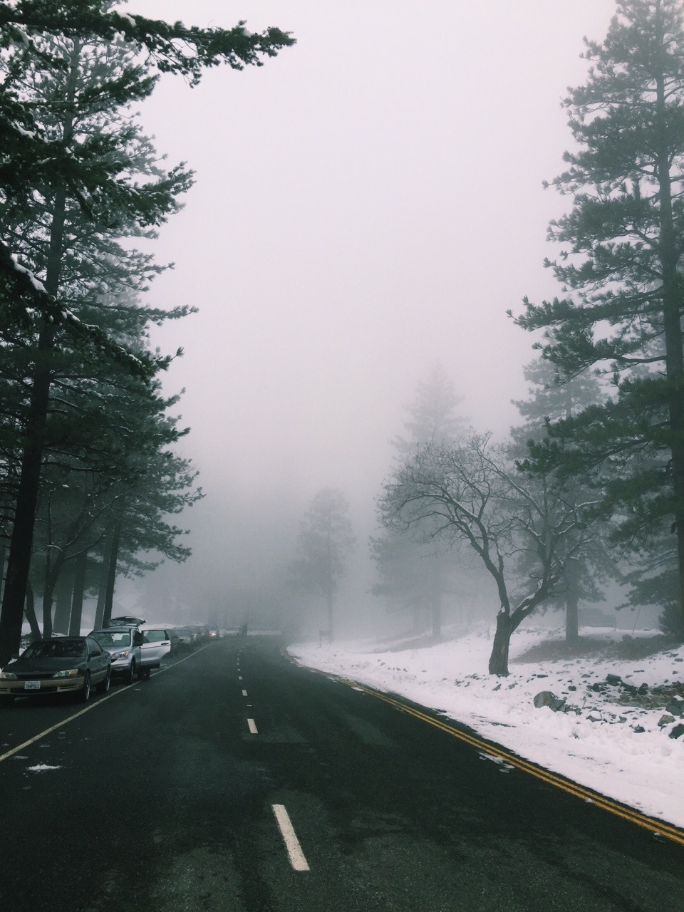 petitemonstrosity:  its beautiful when it snows in southern california &lt;3