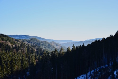 marcel1900:Black forest, Germany January 2017