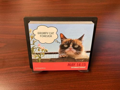 Grumpy Cat forever. @realgrumpycat #saturday #sunday #weekend #TardarSauce #GrumpyCat #catsofinstagr