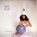 roman-kate:Kate Bush posing for the cover of her single “Sat In Your Lap” (1981)Photos
