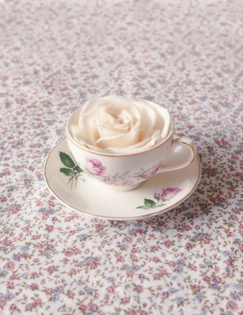 andantegrazioso: My cup of rose | Marcus Møller  Bitsch