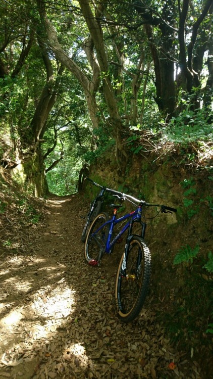 krs955:fun the local trail.