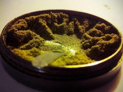 westcoaststoner420:  habituallyhigh:  Stoner, always!  