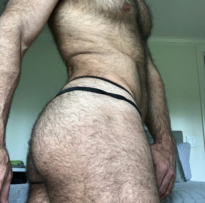 thefurryforest: