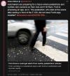wagamaggot:what if we all became terrorists and bombed automakers administrative