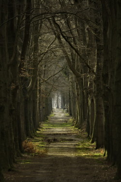 sublim-ature:  Huis Dort, NetherlandsLuuk