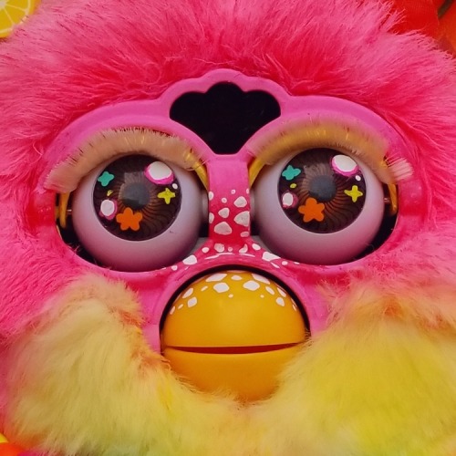 My Newest Custom, Fruit Punch! I Hope You Like Him ^__^