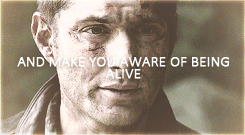 OH MY GOD SUPERNATURAL x SONDHEIMYOU CAN’T DO THIS TO ME/KEEP DOING THIS FOREVER