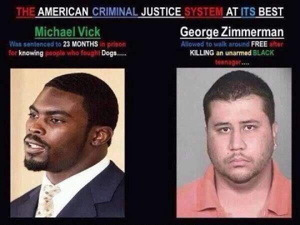 dcmoreno:  If Zimmerman is not found guilty, a dogs life will mean more than a Black
