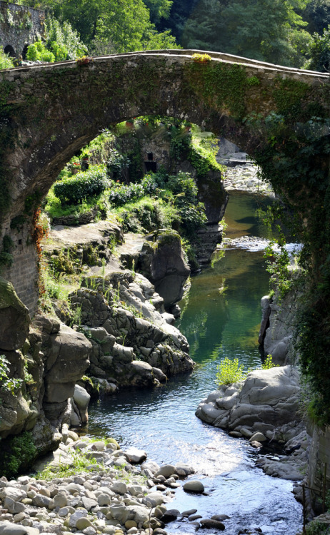 allthingseurope: Medieval bridge, Italy  (by Ornedra) 