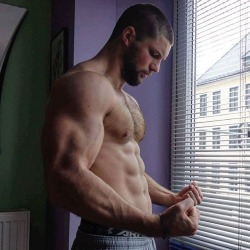 The beauty of the male body