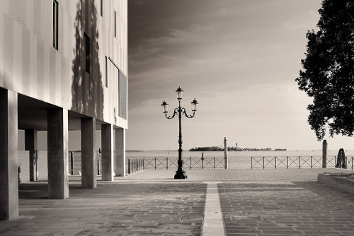 La Giudecca - primo cassol 2018
