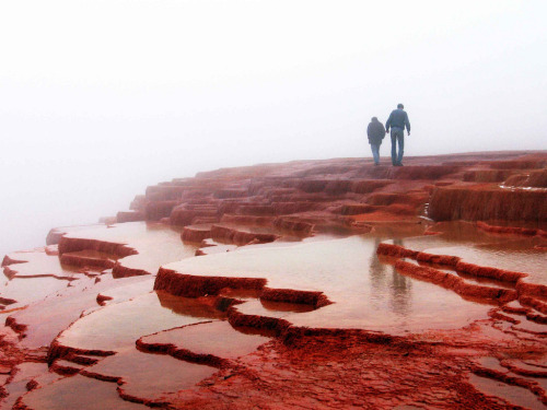 travelingcolors:    Badab e Surt | Iran (by Mojtaba Shadman Rad)This beautiful red like mineral spring is located between Semnan and Sari near a village which is named Malkhast. These beautiful colors are because of several different mineral salts like