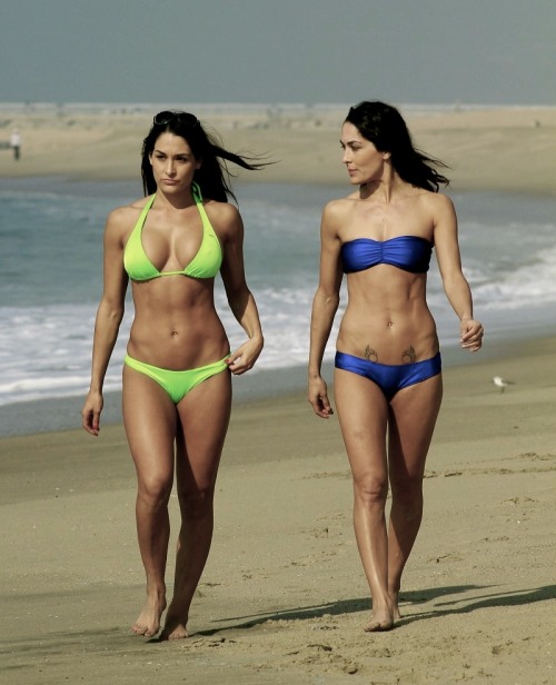 Porn Pics aguysmind:  The Bella Twins 