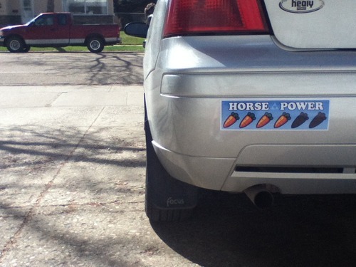 the-light-arrow:  retrogamingblog:  Ocarina of Time Bumper Sticker   Want