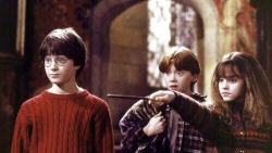 my-harry-potter-generation:Hermione: Petrificus Totalus!  Ron: You know, you’re a bit scary sometimes. Brilliant, but scary.