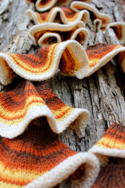thegreenwolf:Over at BromeLeighad–52 Forms of (Knitted) Fungi!