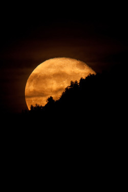 waking-slowly:Il sorgere della luna.. by
