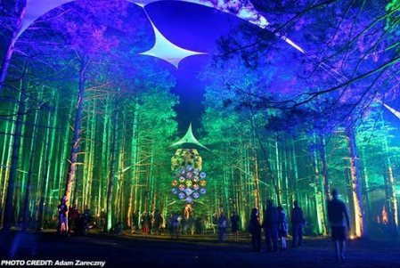 shade-16kj:  I want to get lost in the forest! 