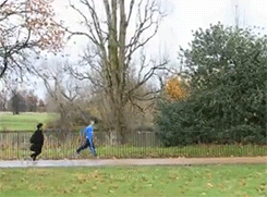 thevixxjinx:   What Choi Minho does in a park: imitate dogs, creep on joggers, feed birds, get bitten by a squirrel  