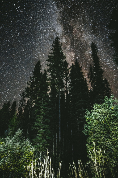 vintagepales2:Night Sky - Wyoming & Idoha